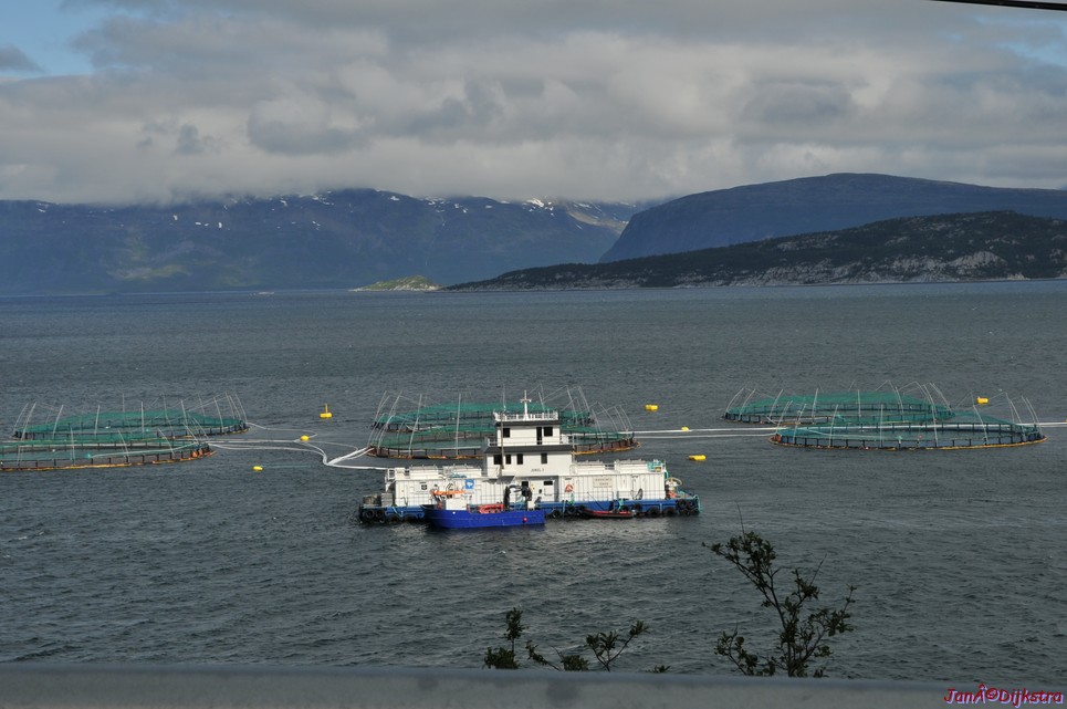 DSC_0918.JPG