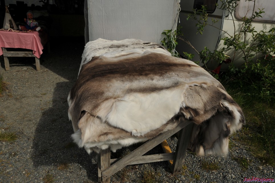 DSC_0932.JPG