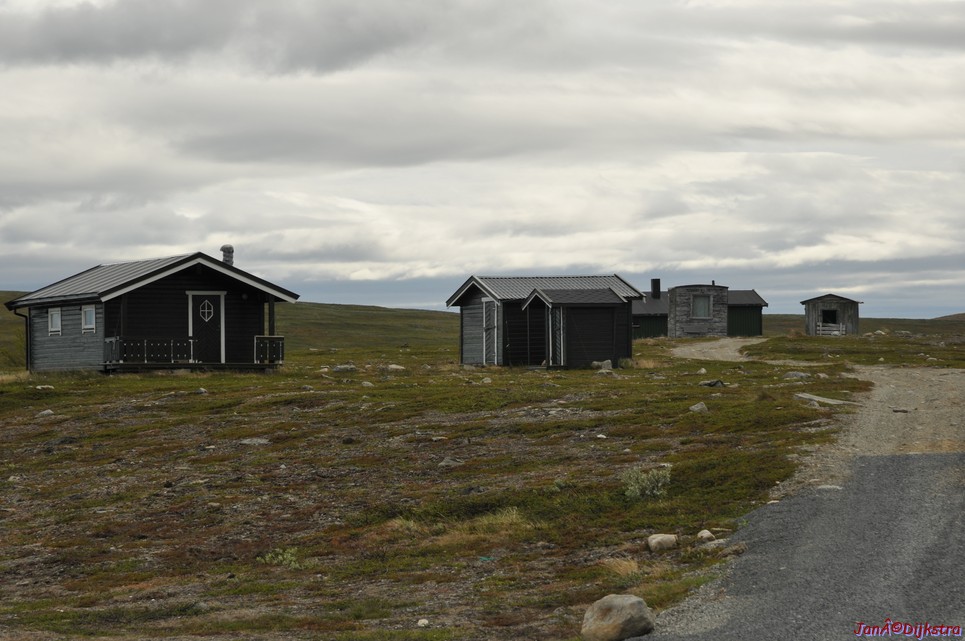DSC_0943.JPG