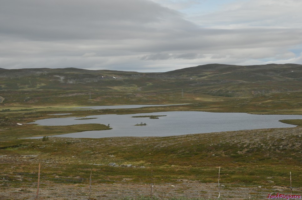 DSC_0945.JPG