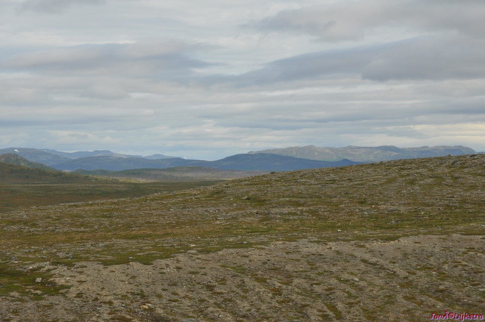 DSC_0946.JPG