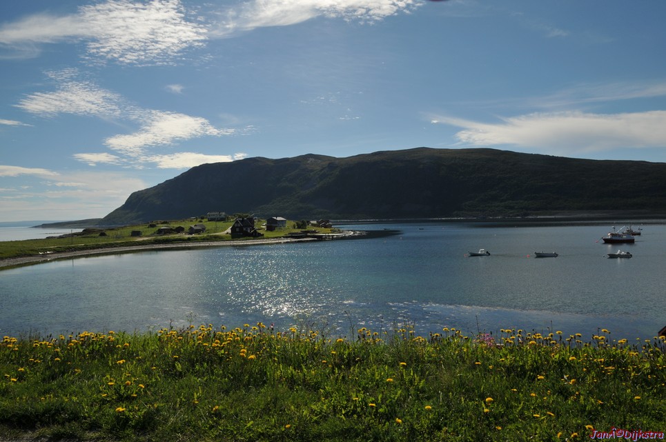 DSC_0982.JPG