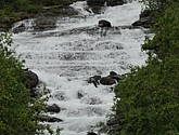 DSC_0847.JPG