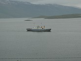 DSC_0854.JPG