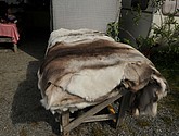 DSC_0932.JPG