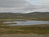DSC_0945.JPG