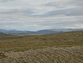 DSC_0946.JPG