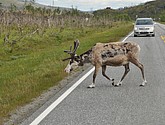 DSC_0964.JPG