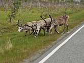 DSC_0967.JPG