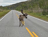 DSC_0968.JPG