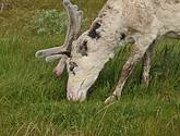 DSC_0974.JPG