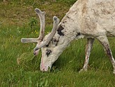 DSC_0978.JPG