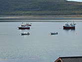 DSC_0983.JPG