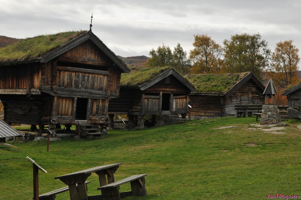 DSC_1502.JPG
