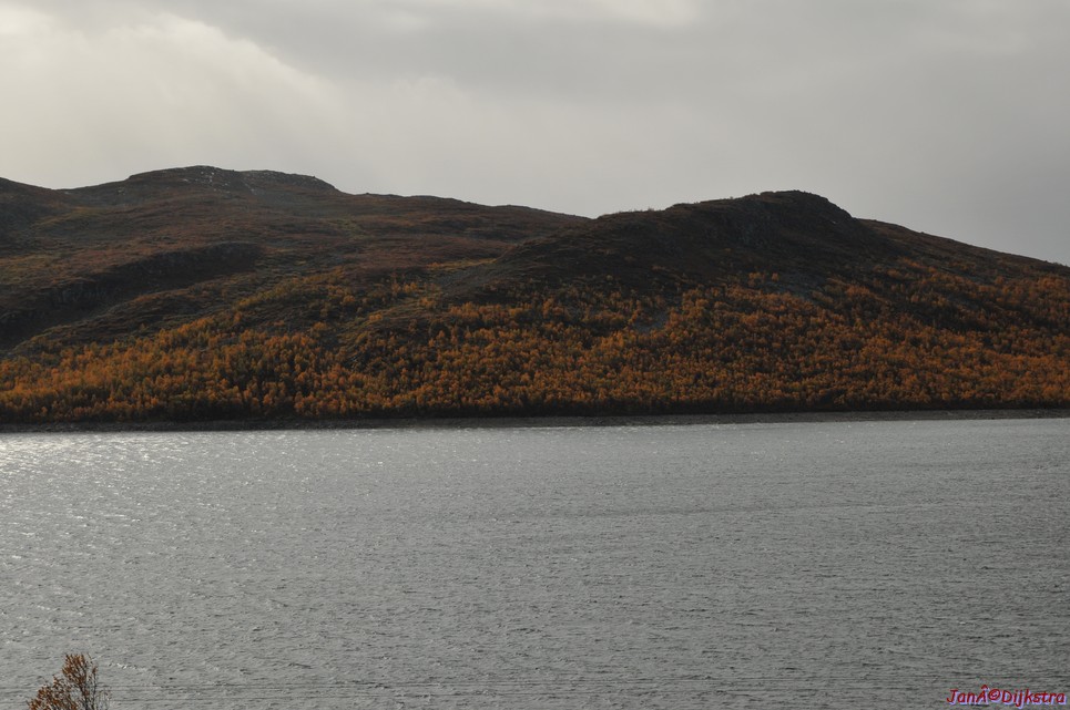 DSC_1512.JPG