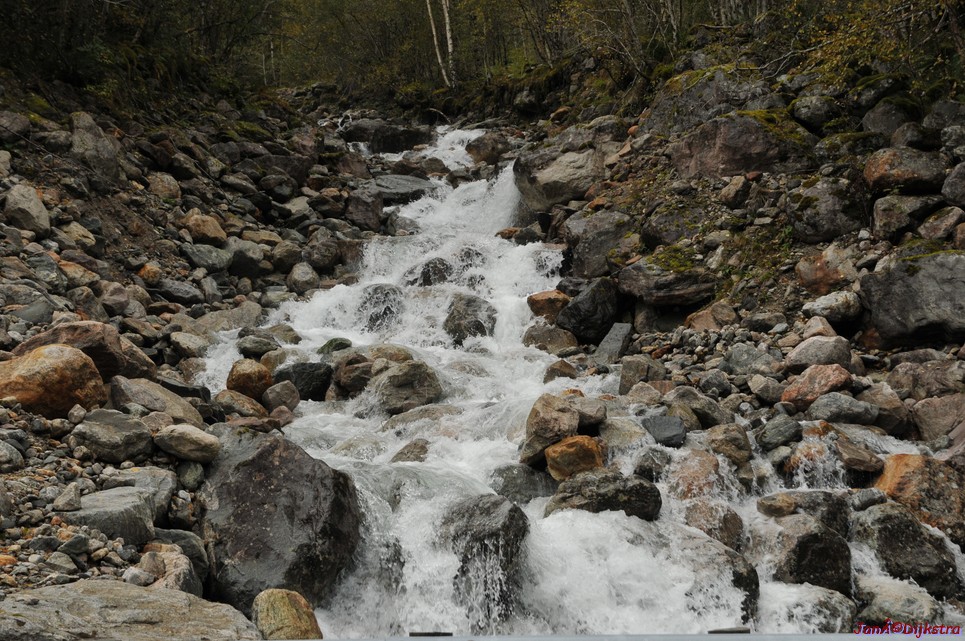 DSC_1591.JPG