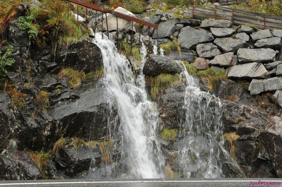 DSC_1597.JPG