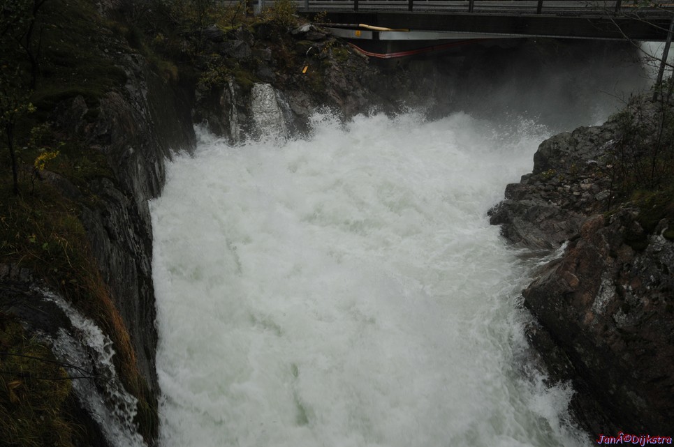 DSC_1599.JPG