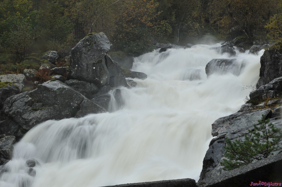 DSC_1603.JPG