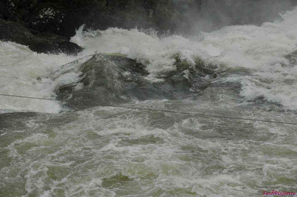DSC_1618.JPG