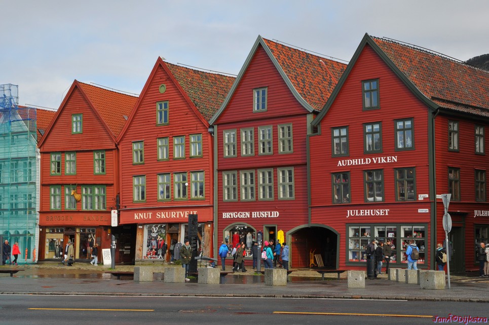 DSC_1651.JPG