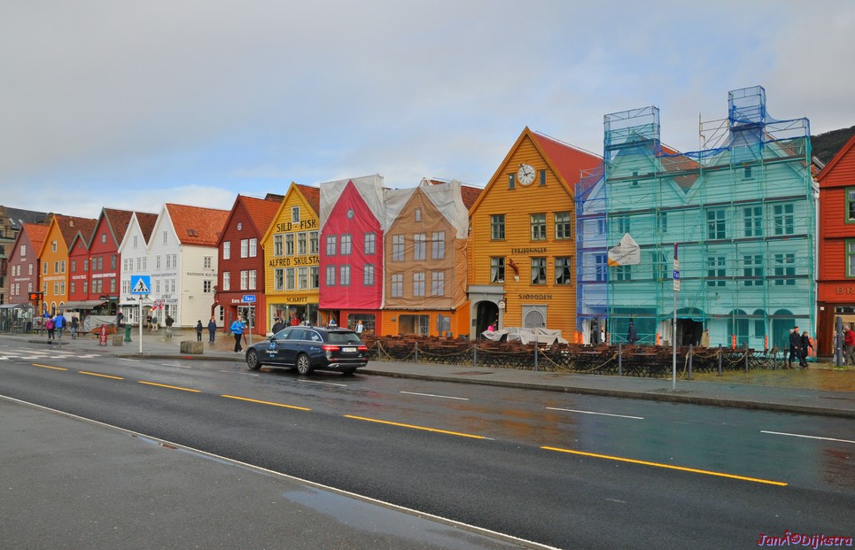 DSC_1655.JPG