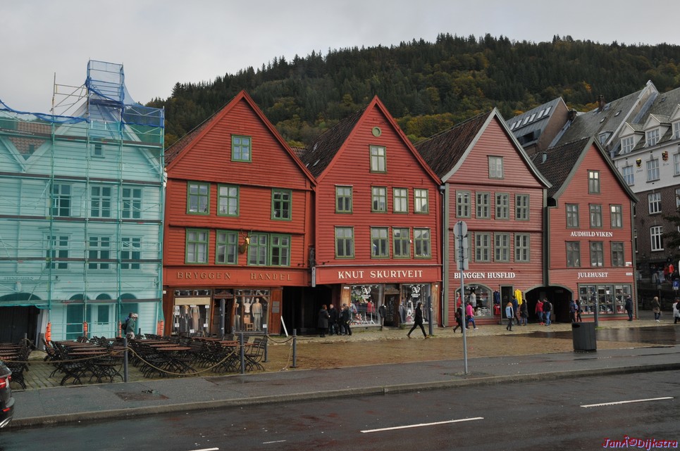 DSC_1658.JPG