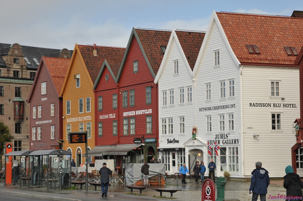 DSC_1659.JPG