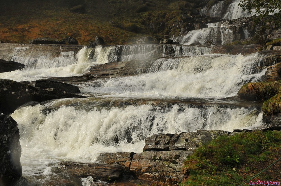 DSC_1710.JPG