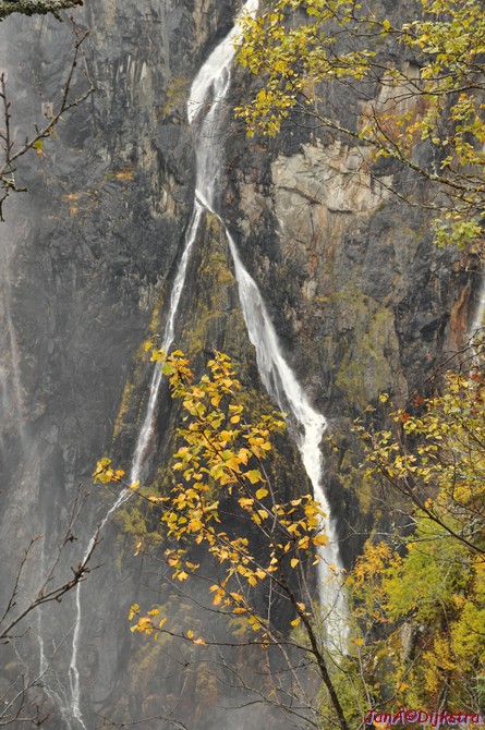 DSC_1719.JPG