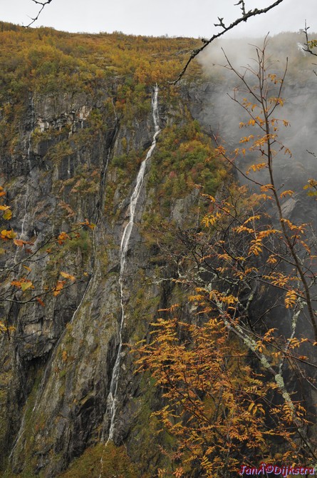 DSC_1720.JPG