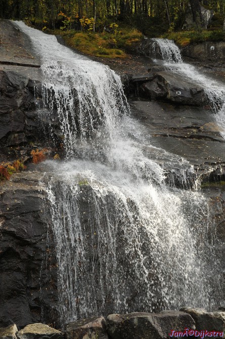 DSC_1729.JPG
