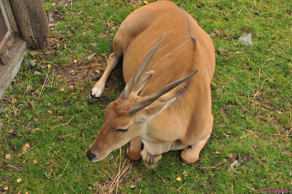 DSC_1770.JPG