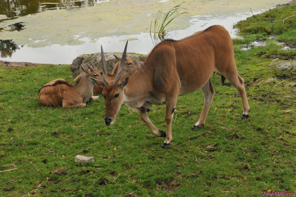 DSC_1777.JPG