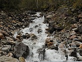 DSC_1591.JPG