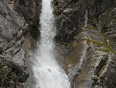 DSC_1615.JPG