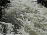 DSC_1616.JPG