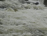 DSC_1617.JPG