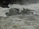 DSC_1618.JPG