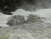 DSC_1620.JPG
