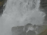DSC_1626.JPG