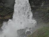 DSC_1628.JPG