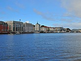DSC_1650.JPG