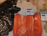 DSC_1682.JPG