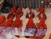 DSC_1683.JPG