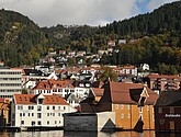 DSC_1695.JPG
