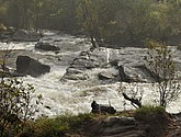 DSC_1716.JPG