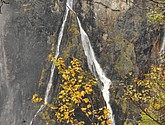 DSC_1719.JPG