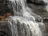 DSC_1729.JPG