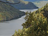 DSC_1751.JPG